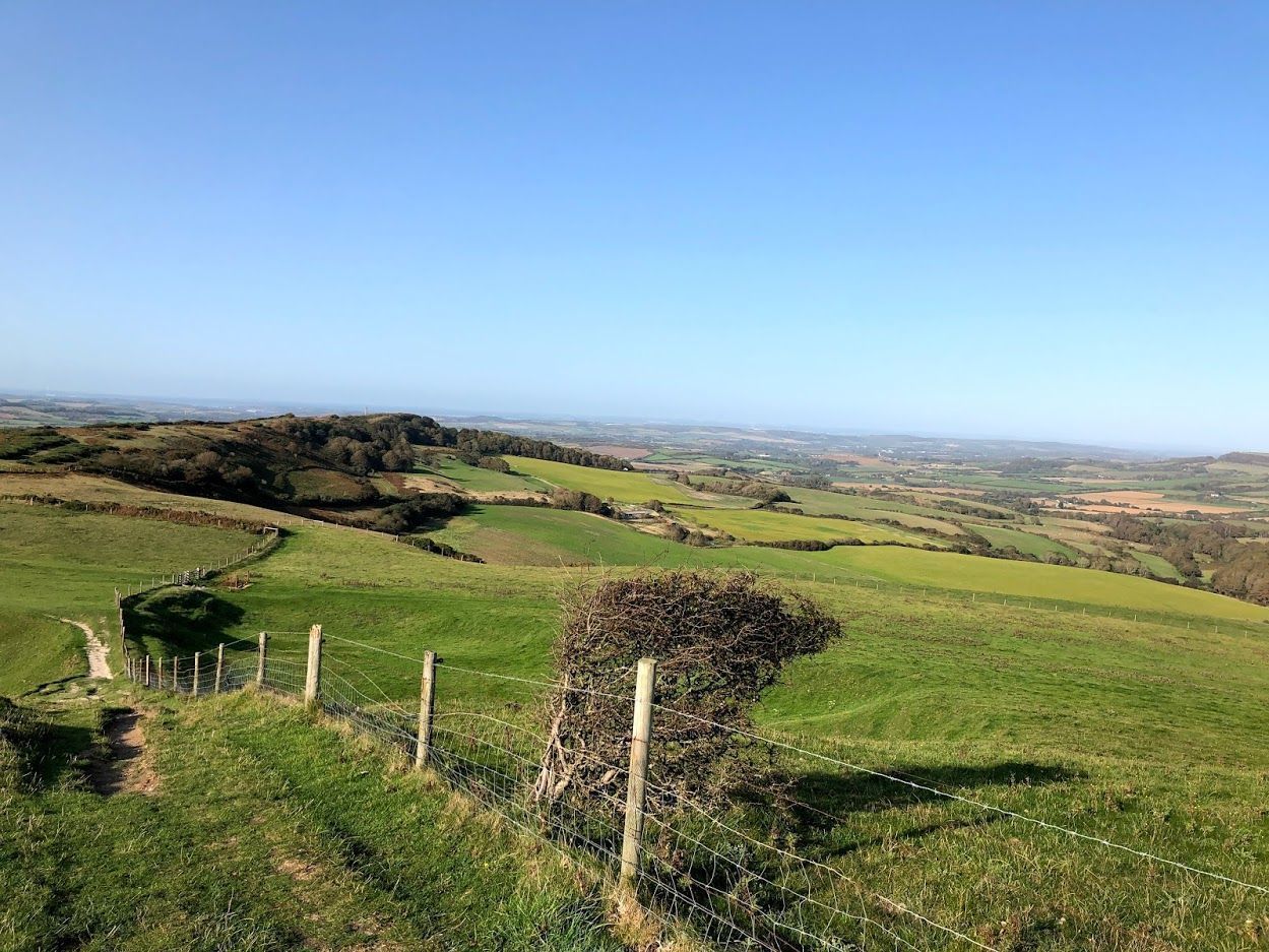 Wonderful Walking Loops from the Farm