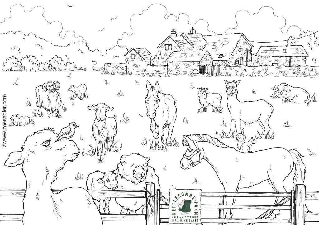 Colouring pages
