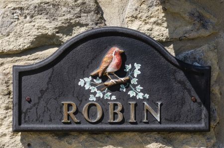 Robin