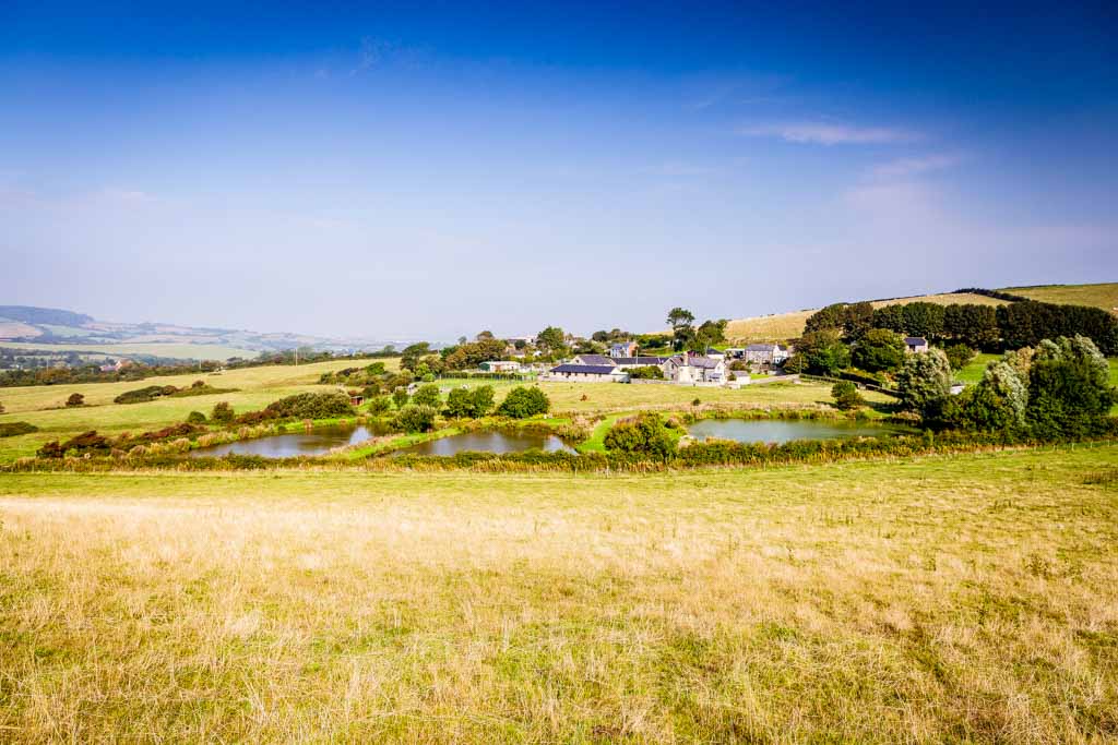 The Farm